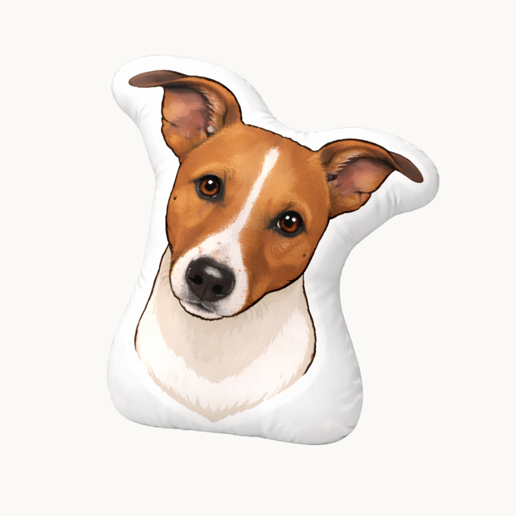 Custom 3D Pet Cushion