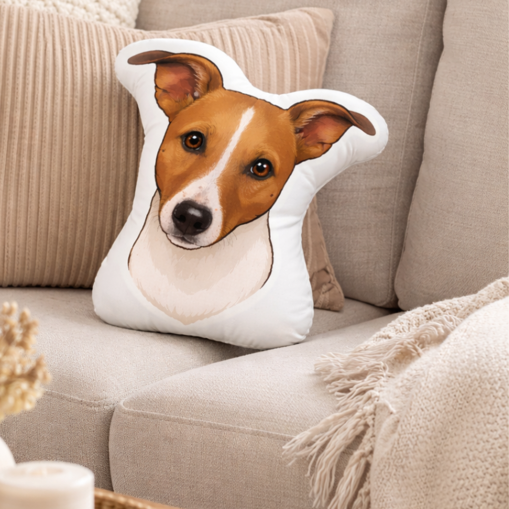 Custom 3D Pet Cushion