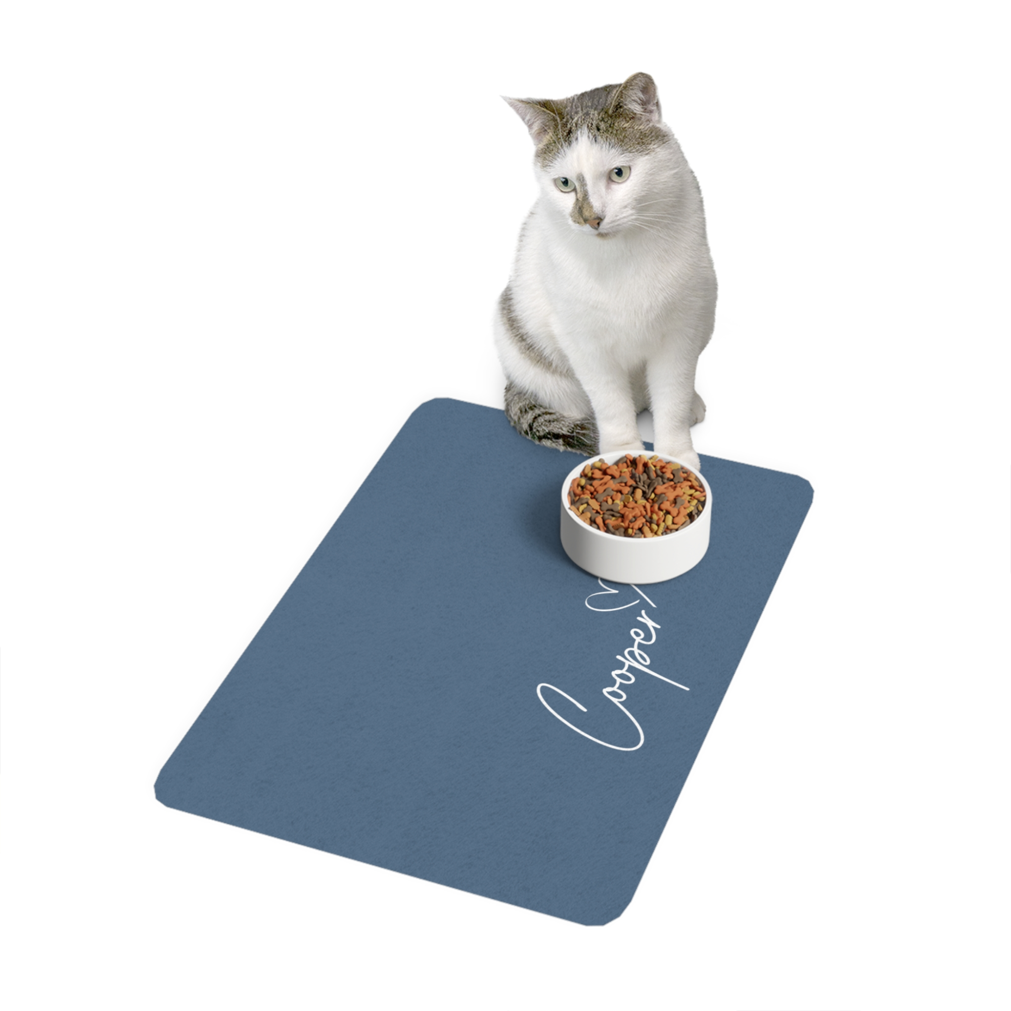 Personalised Pet Name feeding Mat