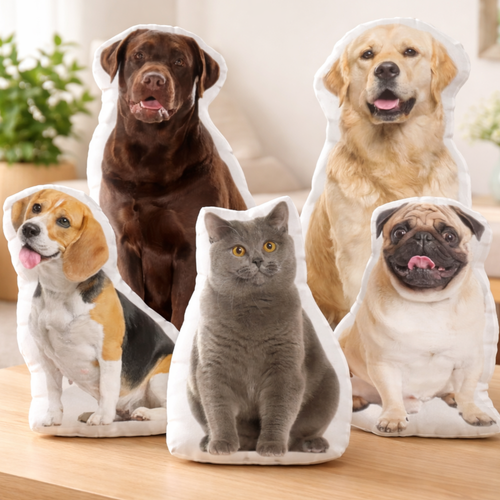 Personalised 3D Pet Cushion